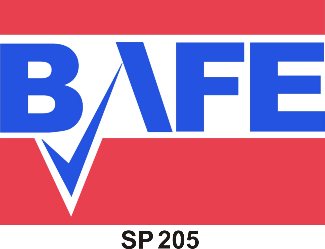 BAFEsp205 2